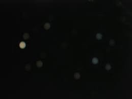 リセット