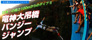 お馬鹿の存在価値