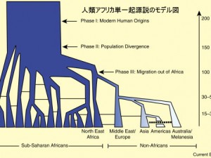 認知症と遺伝子変異と普通の遺伝子
